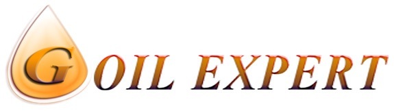G OIL EXPERT LTD